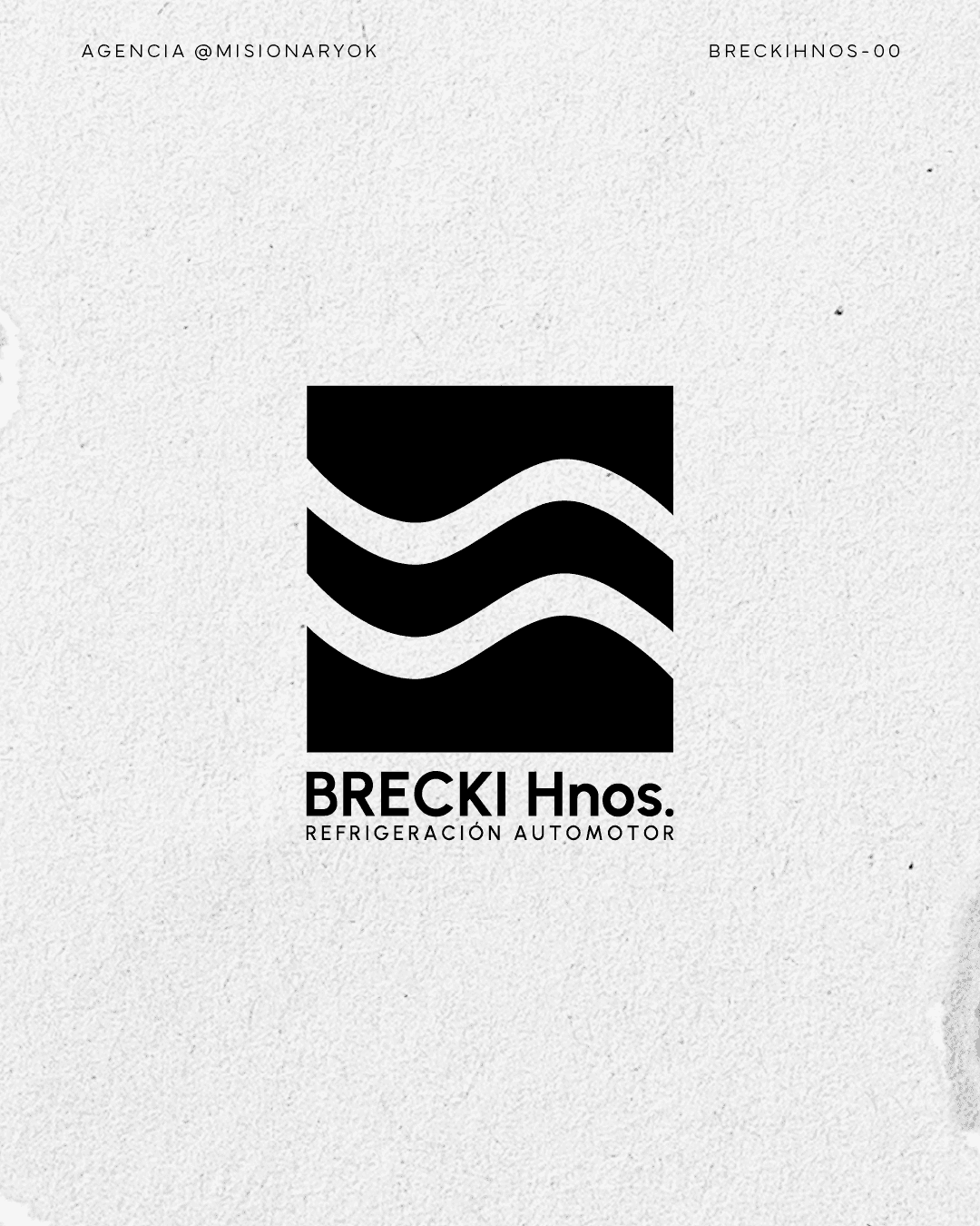 Sistema visual Brecki