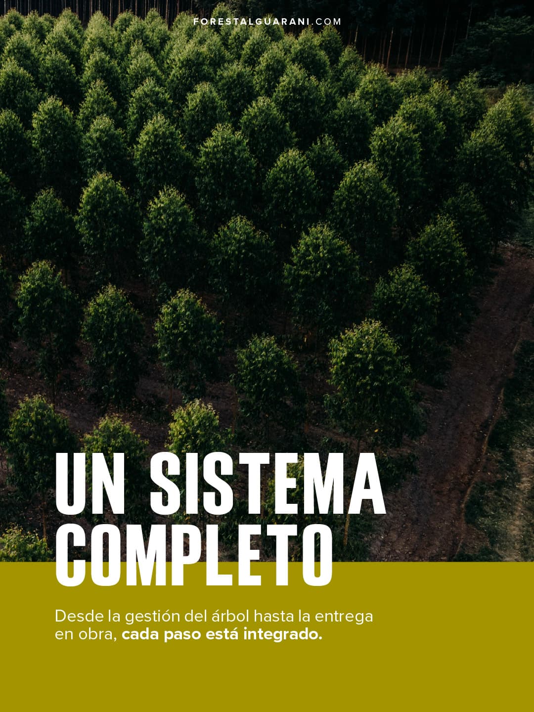 Meta Ads — sistema industrializado